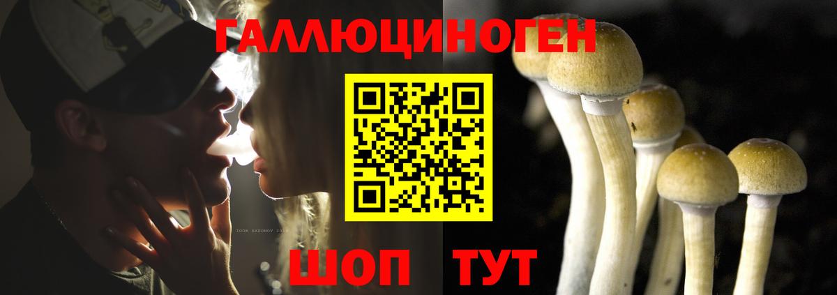 Прохладный  Галлюциногенные грибы GOLDEN TEACHER  Вход с VPN 